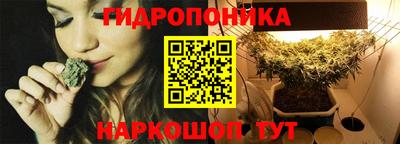 СК Краснознаменск