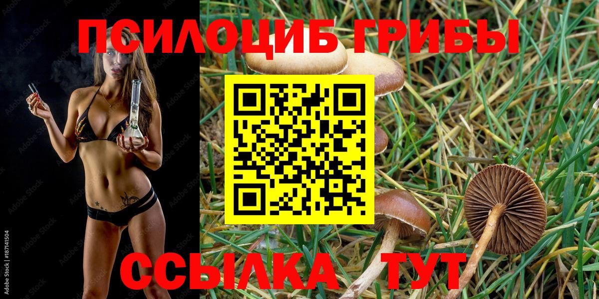 Галлюциногенные грибы Magic Shrooms  Вход с VPN  Буйнакск 